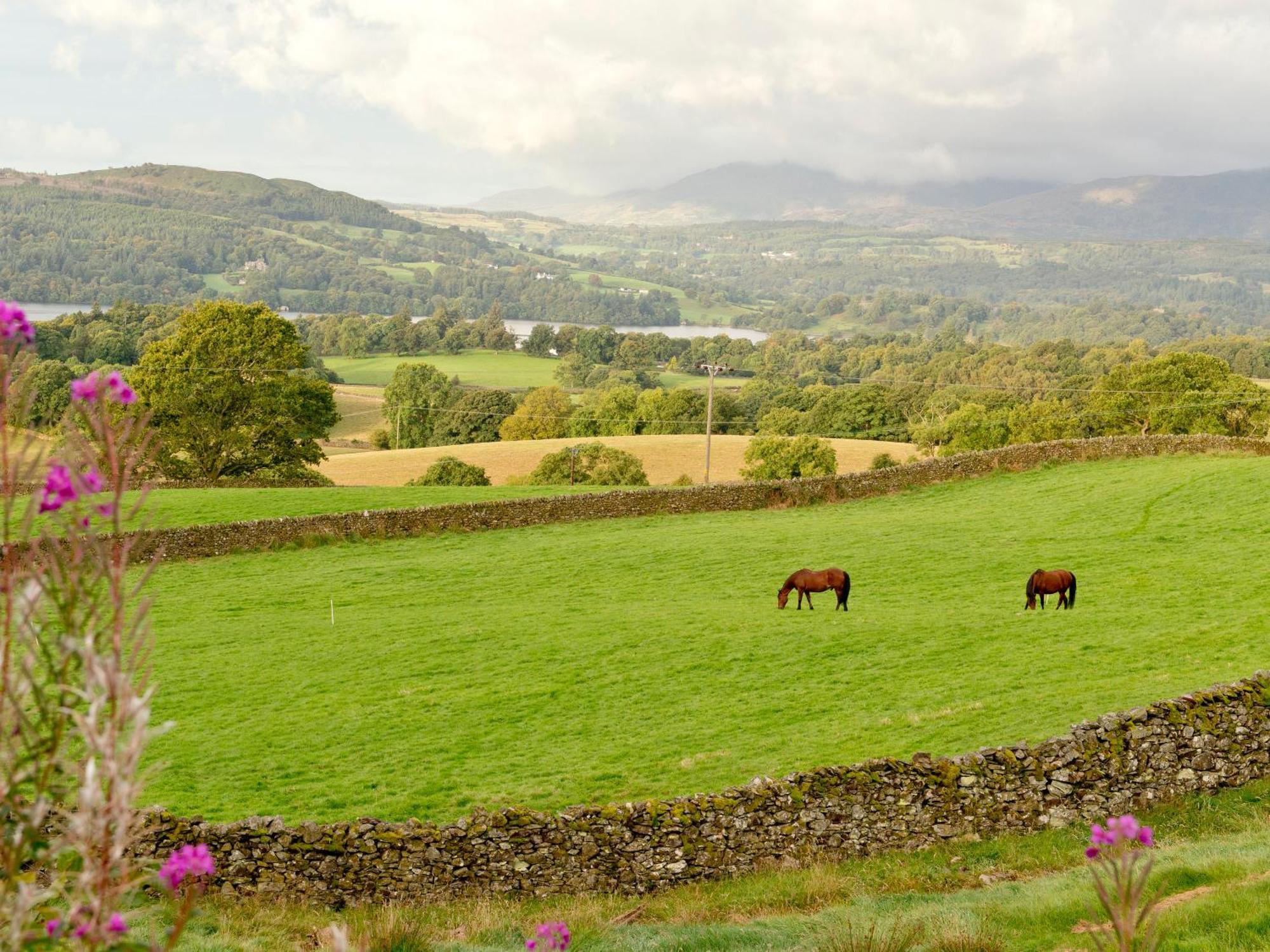 Yha Windermere *
